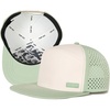 Beige/Sage Green